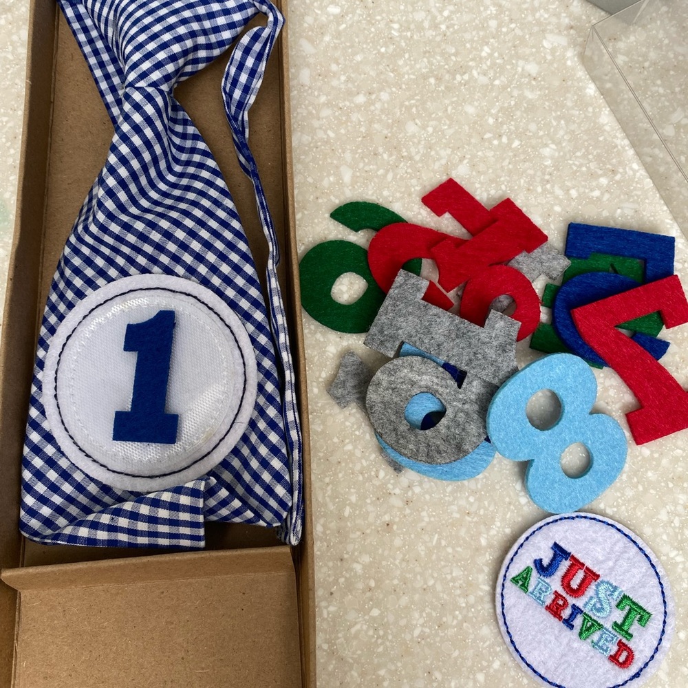 Monthly milestone tie for baby